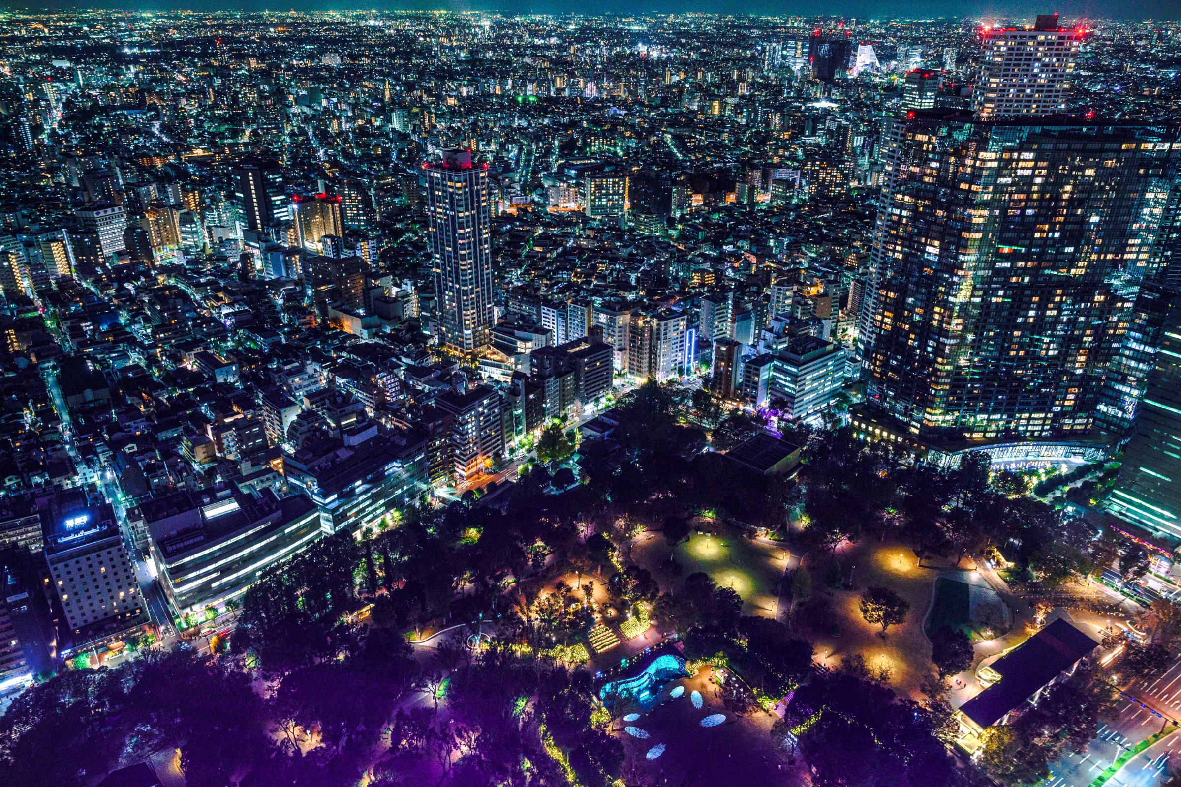 風景の写真